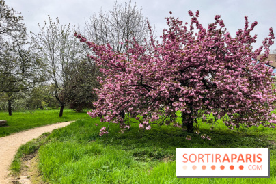 Arboretum de Paris - nos photos - image00036