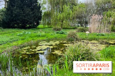 Arboretum de Paris - nos photos - image00039