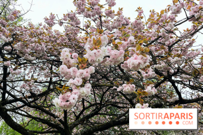 Arboretum de Paris - nos photos - image00034