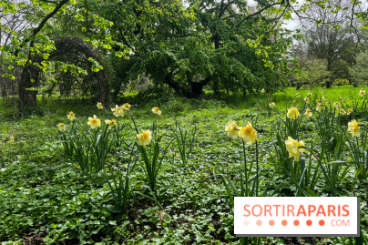 Jardin de l'Ecole du Breuil - nos photos