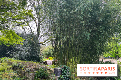 Jardin de l'Ecole du Breuil - nos photos - image00025