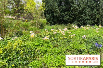 Jardin de l'Ecole du Breuil - nos photos