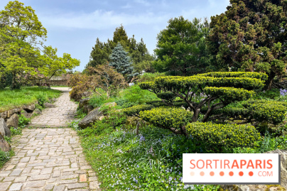 Jardin de l'Ecole du Breuil - nos photos - image00017