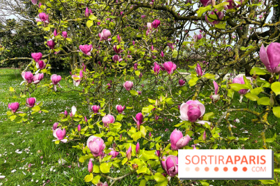 Jardin de l'Ecole du Breuil - nos photos - image00014