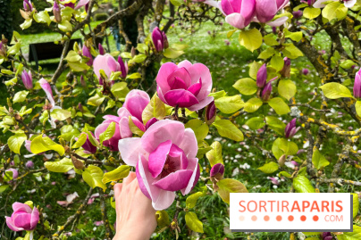 Jardin de l'Ecole du Breuil - nos photos - image00011