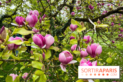 Jardin de l'Ecole du Breuil - nos photos - image00012