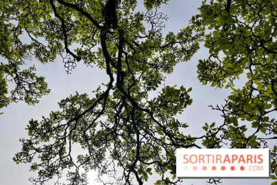 Jardin de l'Ecole du Breuil - nos photos - image00013