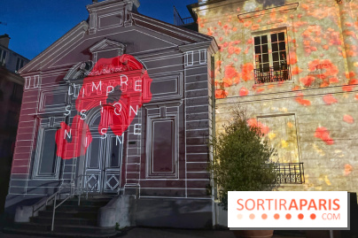 Les Nocturnes de l'Impressionnisme - IMG 0297