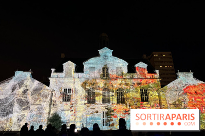 Les Nocturnes de l'Impressionnisme - IMG 0300