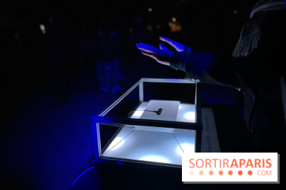 Les Nocturnes de l'Impressionnisme - IMG 0302