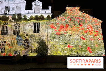 Les Nocturnes de l'Impressionnisme - IMG 0304