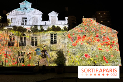 Les Nocturnes de l'Impressionnisme - IMG 0312