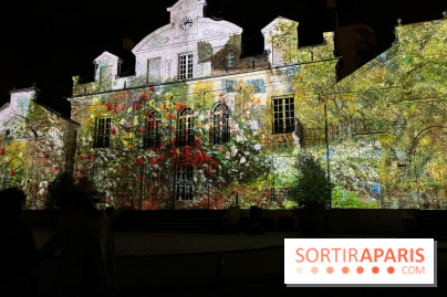 Les Nocturnes de l'Impressionnisme - IMG 0316