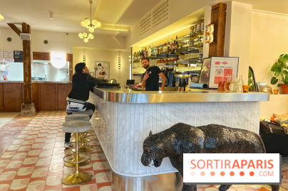 Bonjour Bichat - IMG 0029