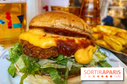 Bonjour Bichat - IMG 0047