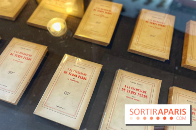 Hôtel littéraire Le Swann - IMG 0379