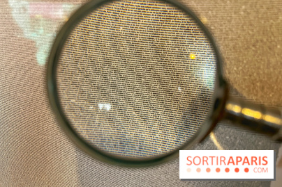 Hôtel littéraire Le Swann - IMG 0380