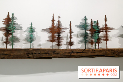 Exposition d'art contemporain à la Galleria Continua, nos photos - IMG 3641