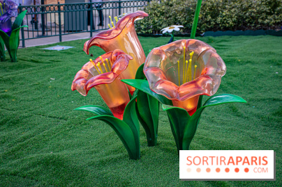 La Symphonie des Couleurs Disney à Disneyland Paris - DSC 9972