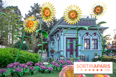 La Symphonie des Couleurs Disney à Disneyland Paris - DSC 9974