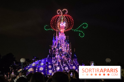 Disney Electrical Sky Parade