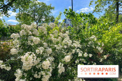 Jardin René Binet - nos photos - image00014