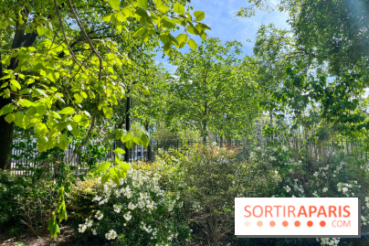 Jardin René Binet - nos photos - image00015