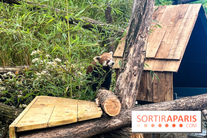 Ménagerie du Jardin des Plantes 2024 - nos photos - image00017