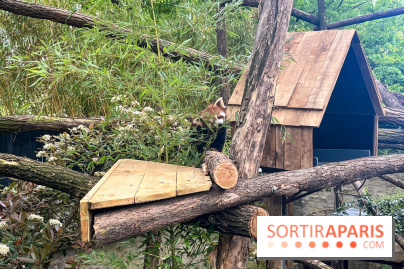 Ménagerie du Jardin des Plantes 2024 - nos photos - image00019