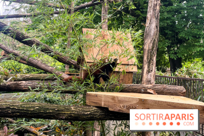 Ménagerie du Jardin des Plantes 2024 - nos photos - image00014