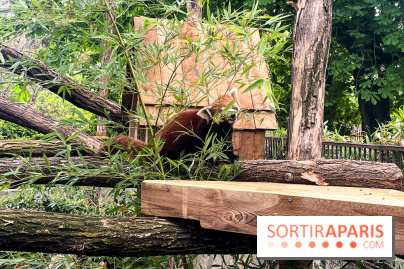 Ménagerie du Jardin des Plantes 2024 - nos photos - image00010