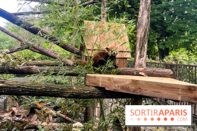 Ménagerie du Jardin des Plantes 2024 - nos photos - image00012