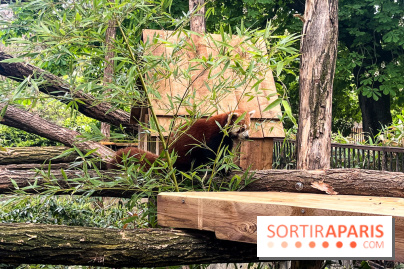 Ménagerie du Jardin des Plantes 2024 - nos photos