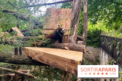 Ménagerie du Jardin des Plantes 2024 - nos photos - image00003