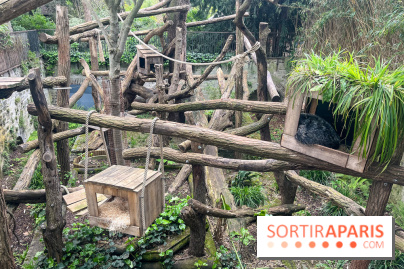Ménagerie du Jardin des Plantes 2024 - nos photos