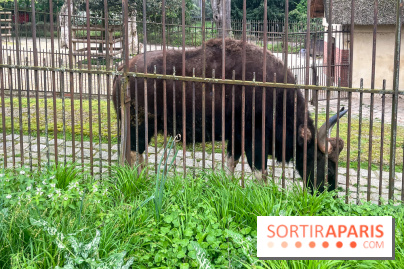 Ménagerie du Jardin des Plantes 2024 - nos photos