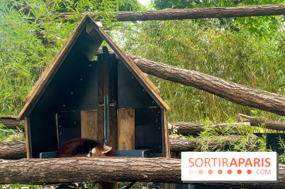 Ménagerie du Jardin des Plantes 2024 - nos photos - image00035