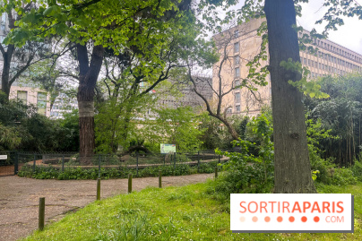 Ménagerie du Jardin des Plantes 2024 - nos photos