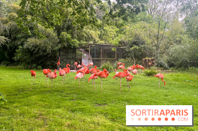 Ménagerie du Jardin des Plantes 2024 - nos photos
