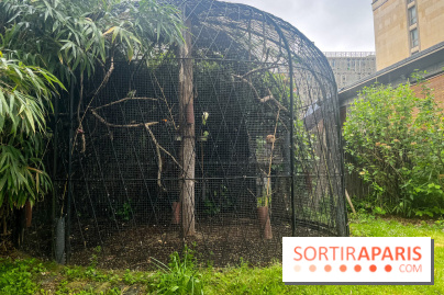 Ménagerie du Jardin des Plantes 2024 - nos photos
