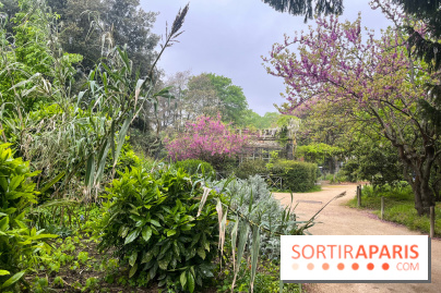 Ménagerie du Jardin des Plantes 2024 - nos photos - image00012