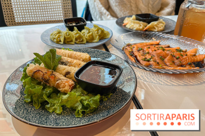 Ponzu, le restaurant de spécialités japonaises dans le 16e - image00011