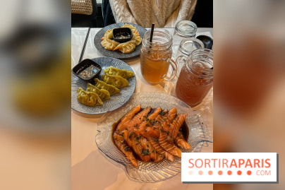 Ponzu, le restaurant de spécialités japonaises dans le 16e - image00013