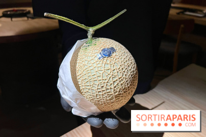 Marie Akaneya - Crown melon