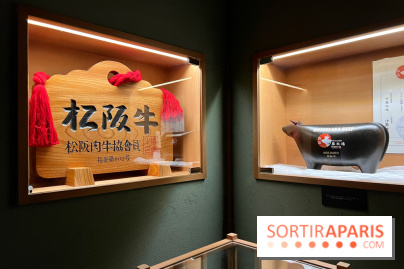 Marie Akaneya - Décoration