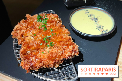 Marie Akaneya - Tonkatsu