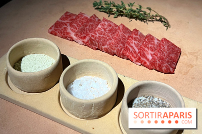 Marie Akaneya - Matsusaka Beef