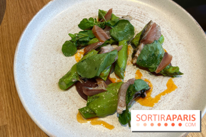 Brion - Asperges, ricotta fumée, maquereaux