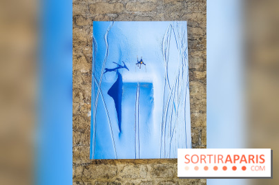 Le sport vu du ciel : l'exposition photo gratuite sur les murs de Bercy Village se dévoile - IMG20240418110711