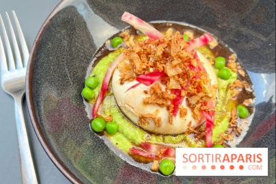 LArchimede - Burrata, dip de petit pois